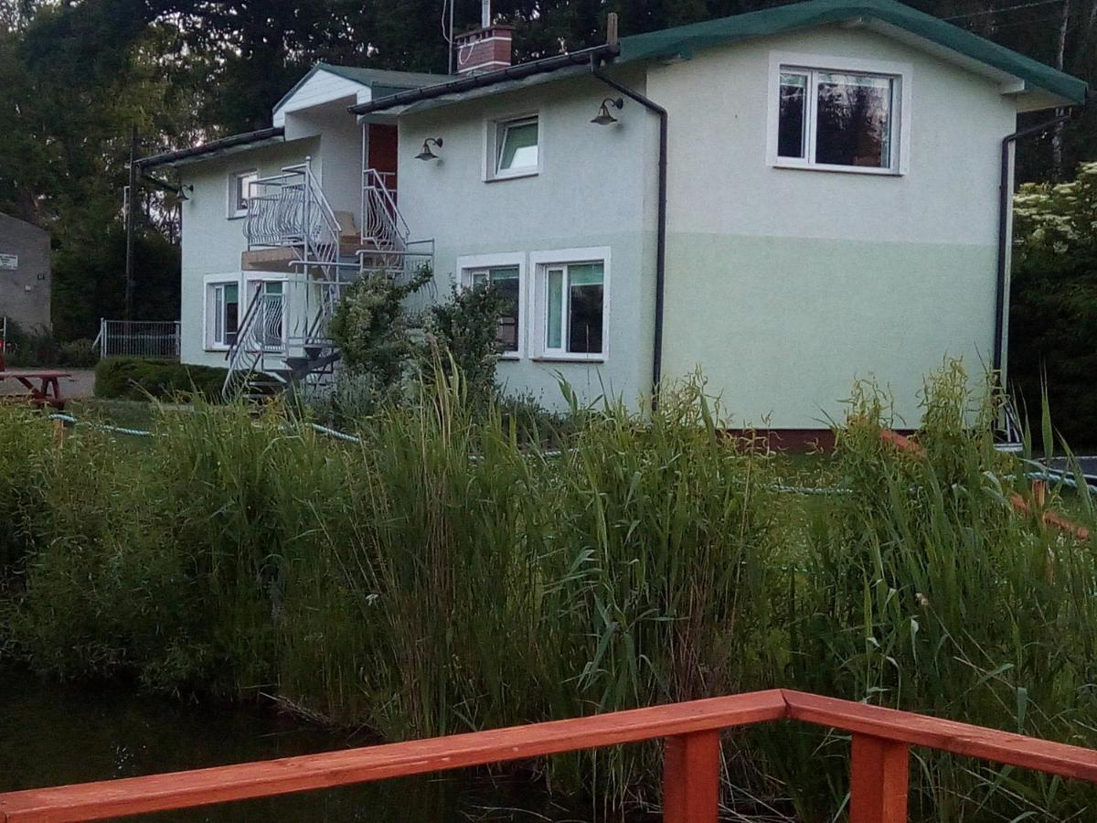 Zieleniewo  Agroturystyka Nad Morzem מראה חיצוני תמונה